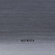 Сплит-система Aurus ADI in-09HN8/ADI out-09HN8 BLACK